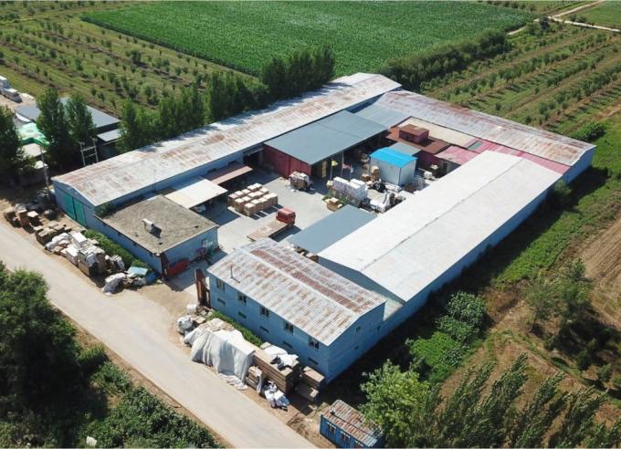 Epal Standard Wooden Pallet 4-Entry Pallet